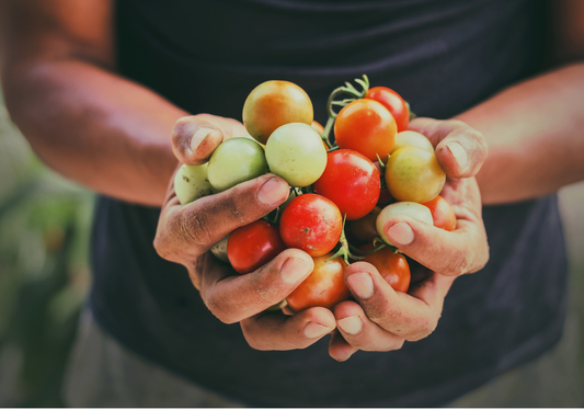 Bookkeeping in Agriculture: Farmer's Guide